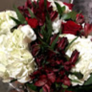 Meet your Posher, Cassandra